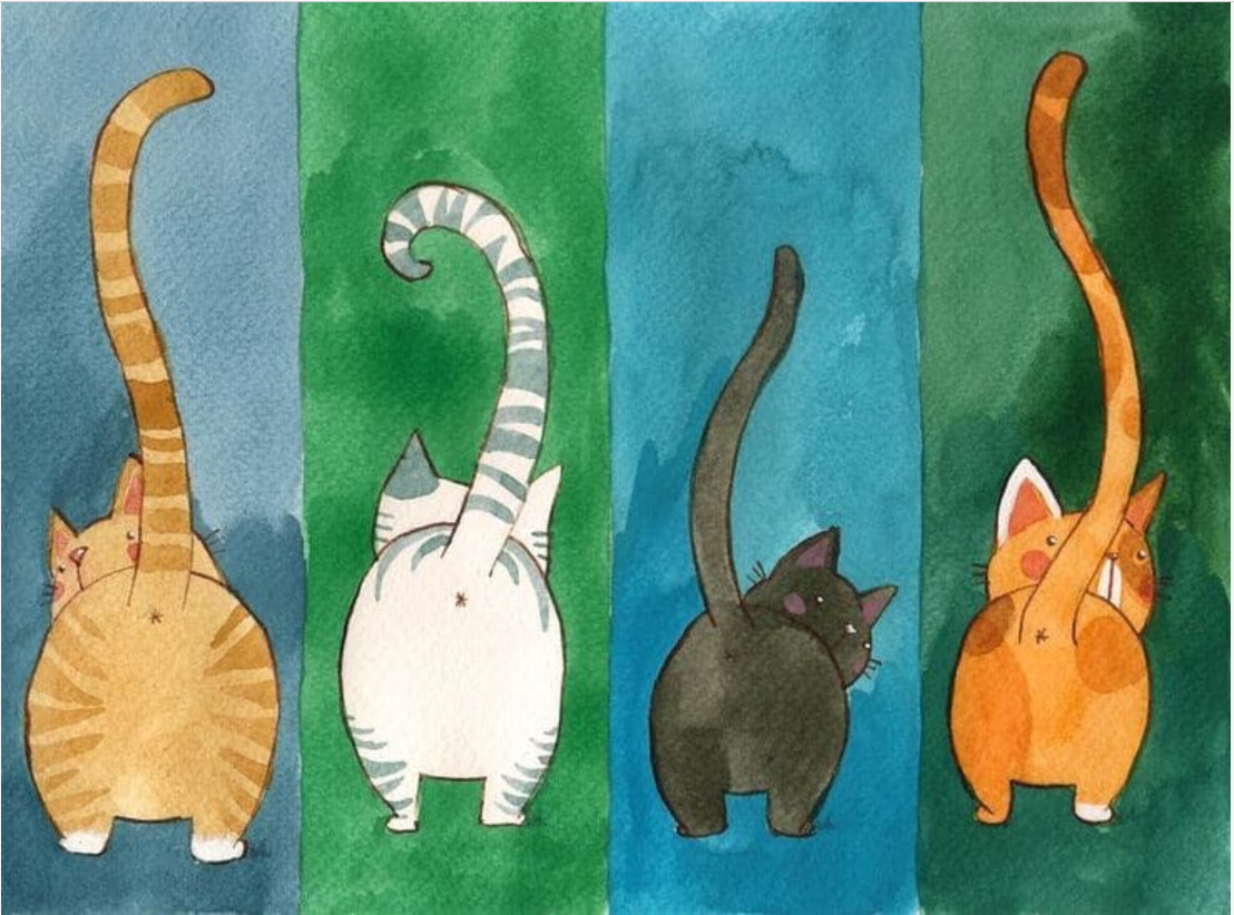 4 fesses de chat en aquarelle