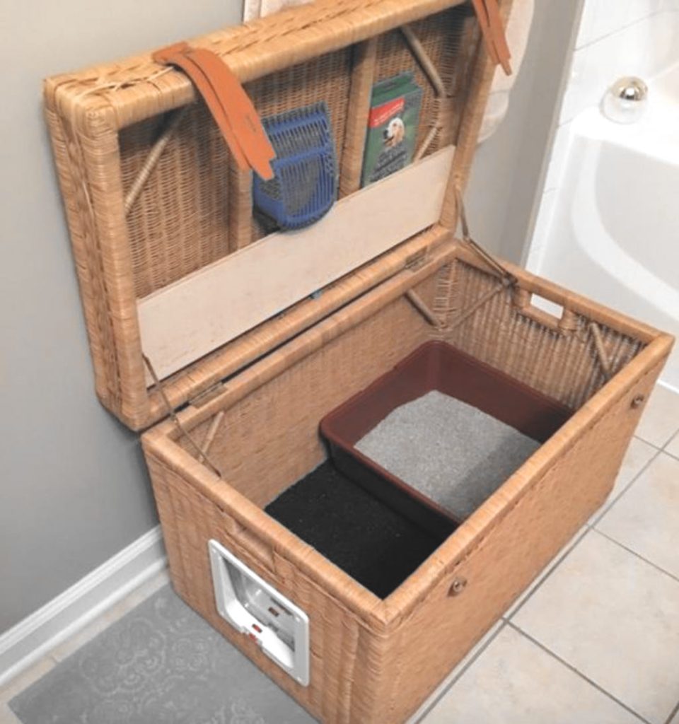 Maison de toilette pour chat dans un coffre 