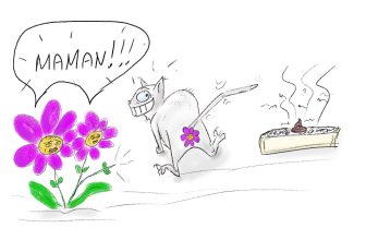 odeur de litière dessin fleurs odorantes
