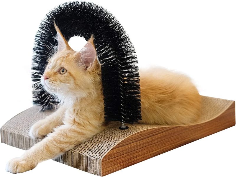 Griffoir et tunnel brosse de massage pour chat