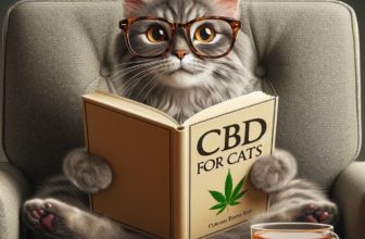 cbd pour chat, avec un livre